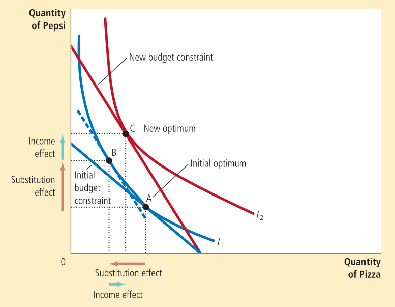 The subtitution and income effect