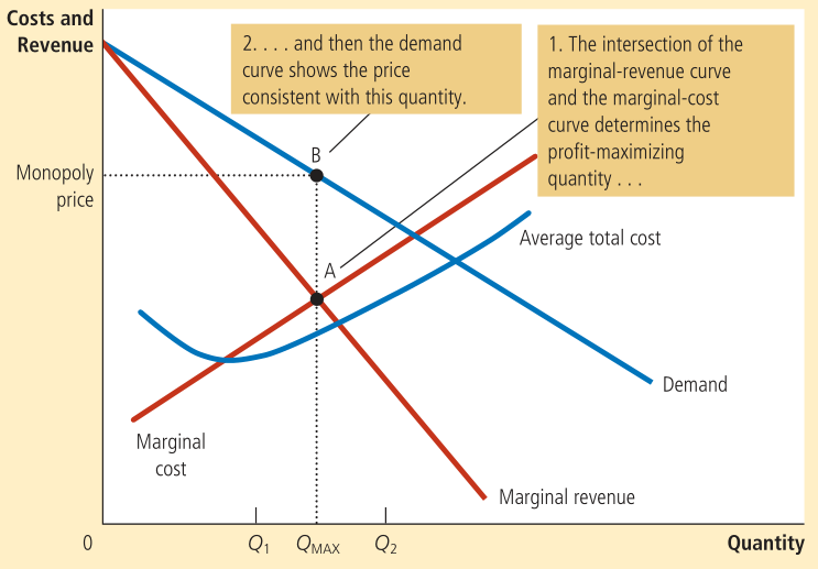 Various curves for a monopoly